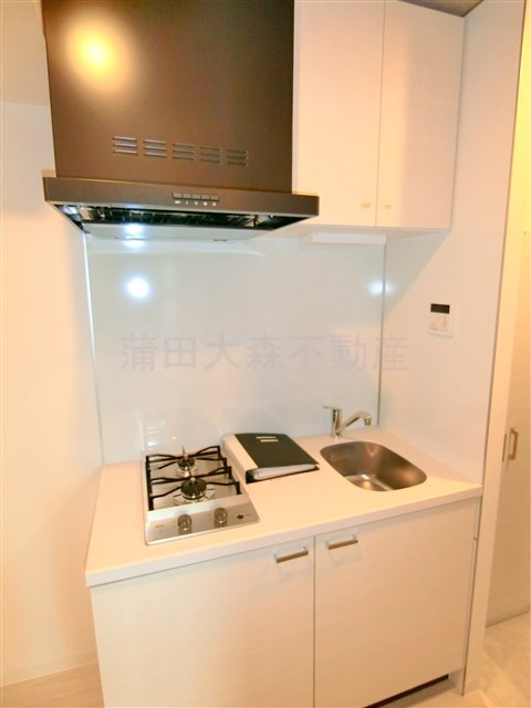 GRAN PASEOグランパセオ蒲田Ⅱのキッチン|2口ガスシステムキッチン