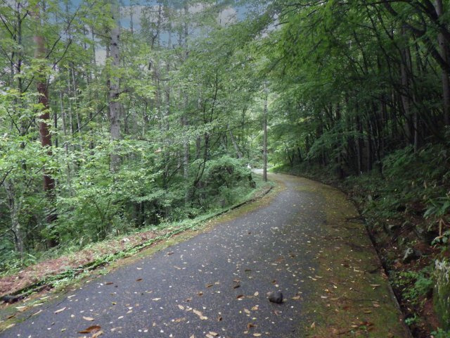 オリンポス三岳⑫の前面道路含む現地写真
