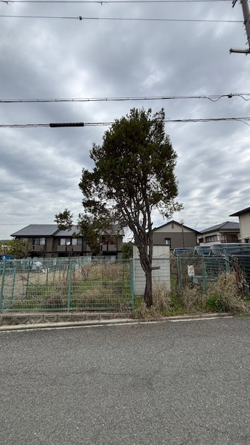 豊中市向丘1丁目　売り土地の外観|外観です