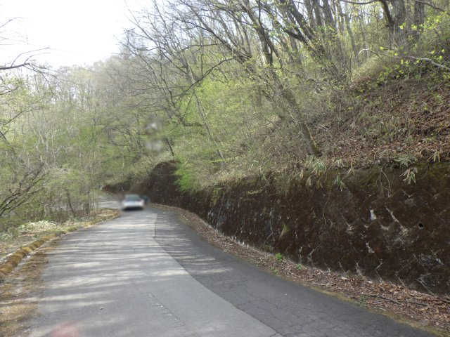 八風の郷⑤の前面道路含む現地写真