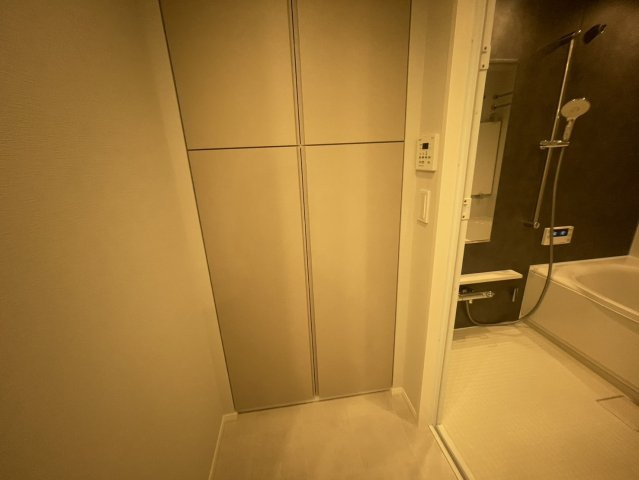 ミレーネ神戸住吉本町の収納|小物を収納するのに便利です