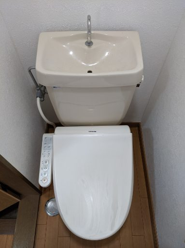 シャル夢Ⅲ