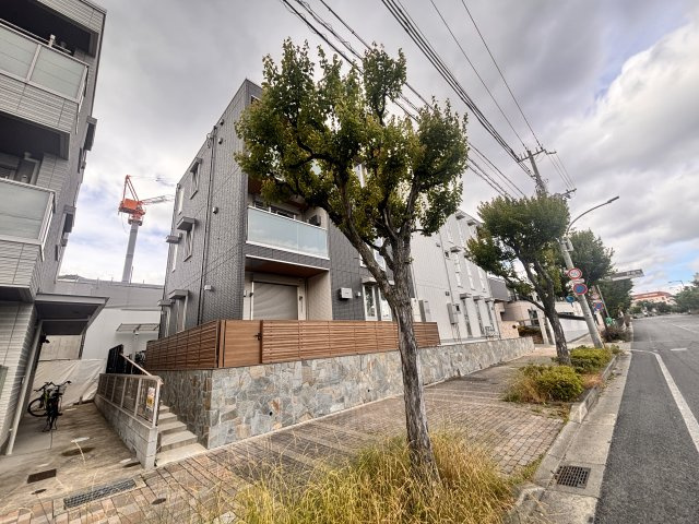 Sansevieria　夏原の展望