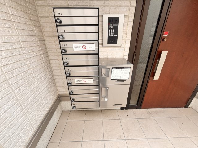 Sansevieria　夏原の玄関