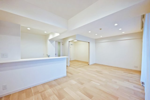 ライオンズガーデン東武練馬壱番館の居間・リビング|ライオンズガーデン東武練馬壱番館：リビングにはダウンライト照明が付いております！