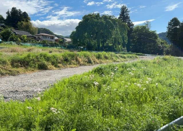 【前面道路含む現地写真】 | ハザードマップは自然災害による被害を予測し、その被害範囲を地図上で表したものです。近年特に災害が多くなっていますので、事前に調査すると安心できます。ハザードマップは国交省のホームページをご覧ください。