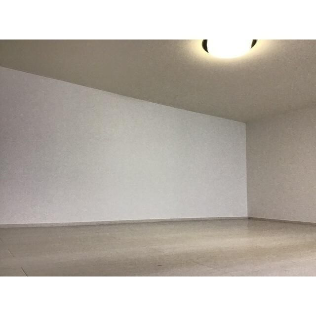 ミモザのその他