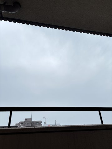 パークレジデンスの展望