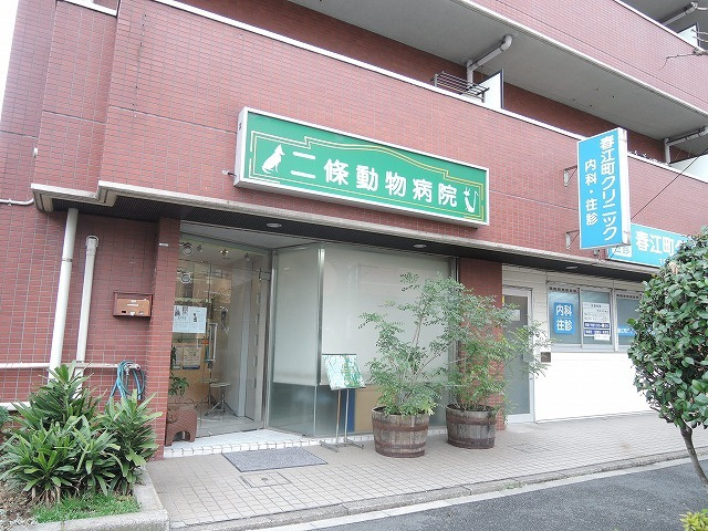 Ｇｒｅｅｎ　Ｆｏｒｅｓｔのその他|二條動物病院