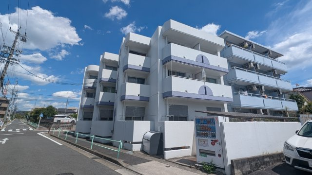 モールセゾン原