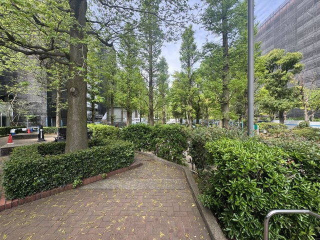 ファミリータウン東陽E棟の周辺|緑豊かな住環境です♪