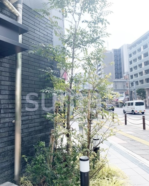 S-RESIDENCE王子westのその他|綺麗に手入れされた植栽です！