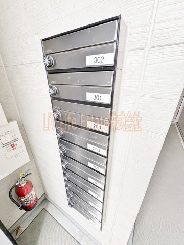 Celeste KOGANEのその他