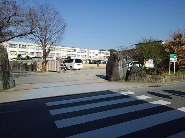 グリチーネの森の周辺