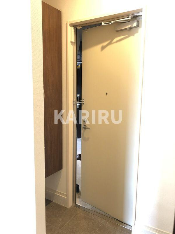 サウスメゾンサフィニアの玄関