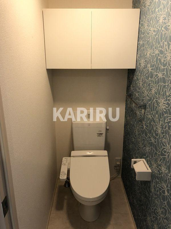 サウスメゾンサフィニアのトイレ