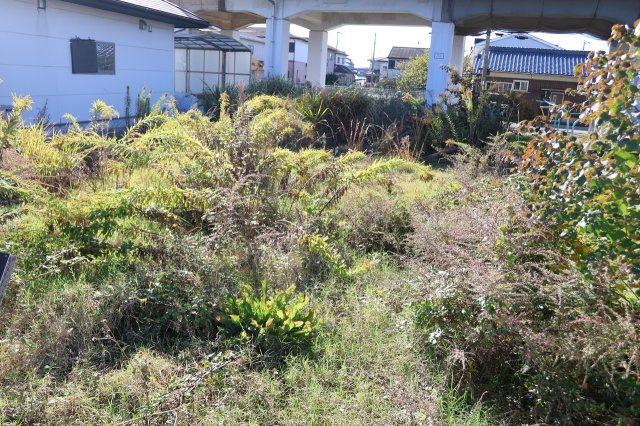 揖保郡太子町東南　売地の外観
