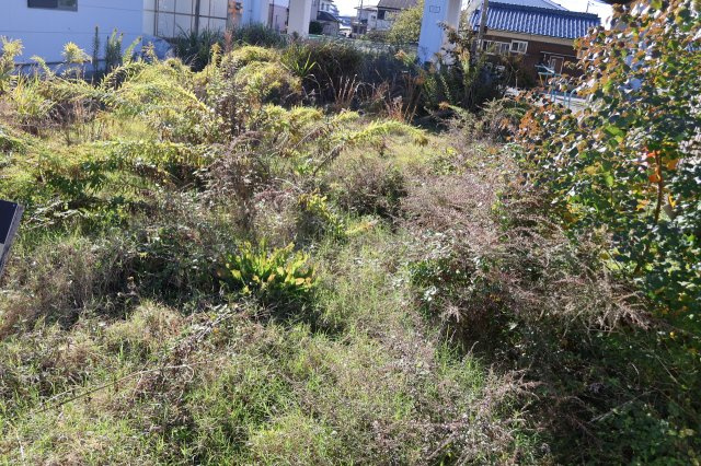 揖保郡太子町東南　売地の外観