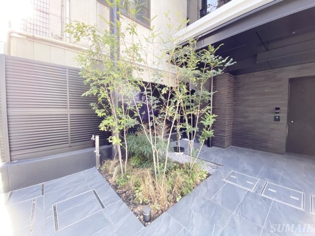 テラス駒込サウスのその他|植栽です