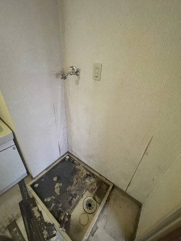 平野エスペランスのその他