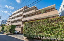 クリオ恵比寿弐番館の画像