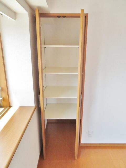 日神デュオステージ川越新富町の収納