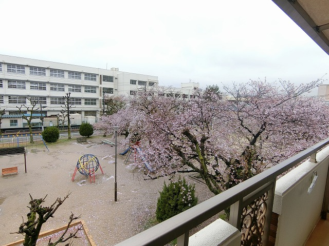 メープル甲子園の展望