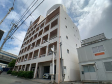 ムコノソウフレックスの画像