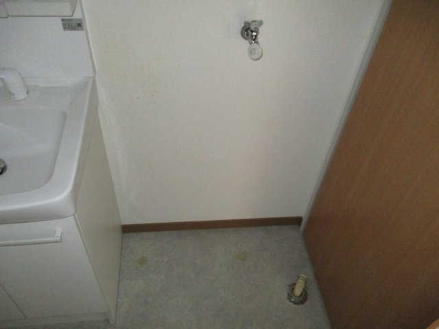 エクセレント西明石Ａ棟の洗面所