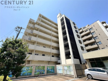 アニバーサリー40thの画像