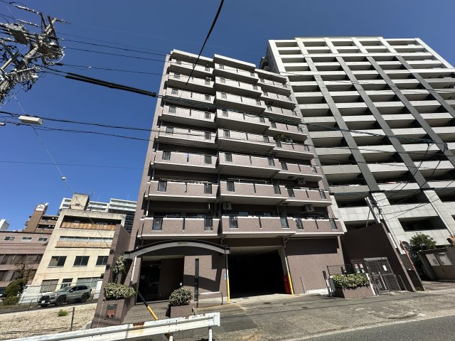 千代田アイリス