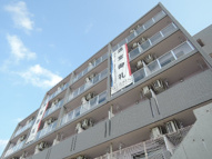 プロスペリタWの画像