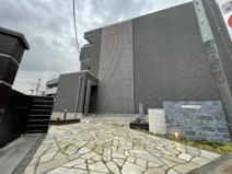 ホワイトオーキッドの画像