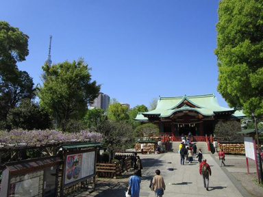 亀戸天神社まで350m