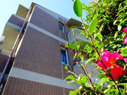 アメニティーコートの画像