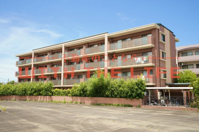 プリマヴェーラ花の木【キャッシュバック対象物件】