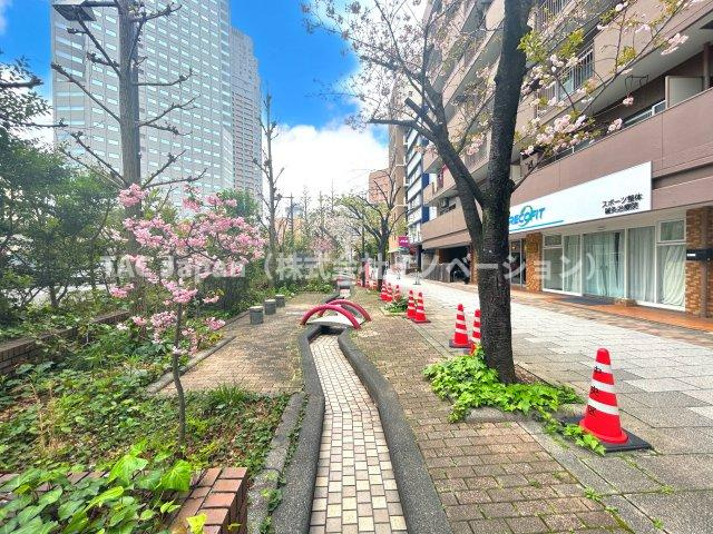 シャルマン築地明石町の周辺