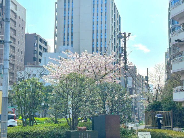 メゾンドール明石の周辺