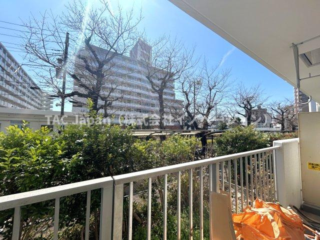 グリーンコーポ町屋のバルコニー|南側に向けて大きく空間が開けており、目の前には桜の木が見えます。
春が訪れるのが待ち遠しくなる、季節を感じられるお部屋です。