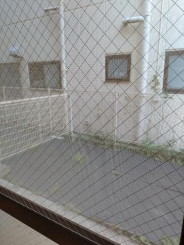 ワコーレエレガンス京成曳舟の展望
