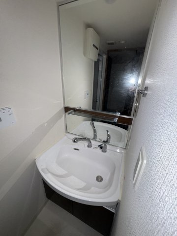 プレサンス丸の内雅風の洗面所