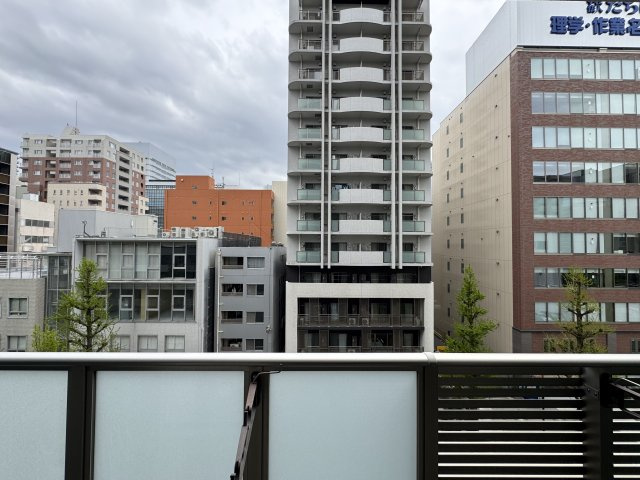 プレサンス丸の内雅風の展望