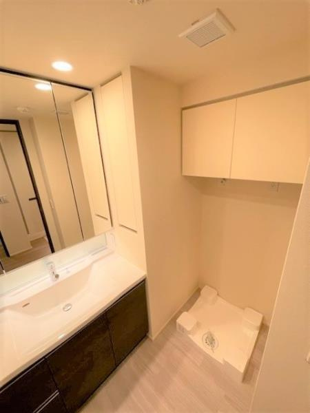 白金ザ・スカイ東棟の洗面所