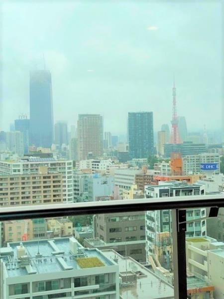 白金ザ・スカイ東棟のその他