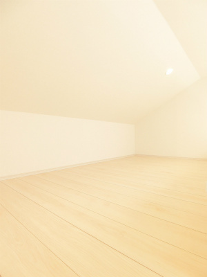 リブリ・MiiAのその他