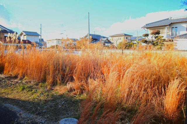 揖保郡太子町矢田部　売地の外観