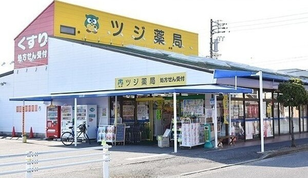 プラシード　Ⅰの周辺