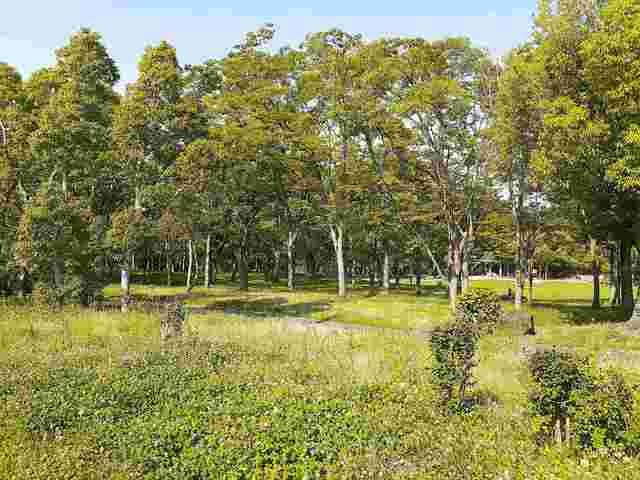 ＬＮ藤沢台の周辺|藤沢台公園まで219m