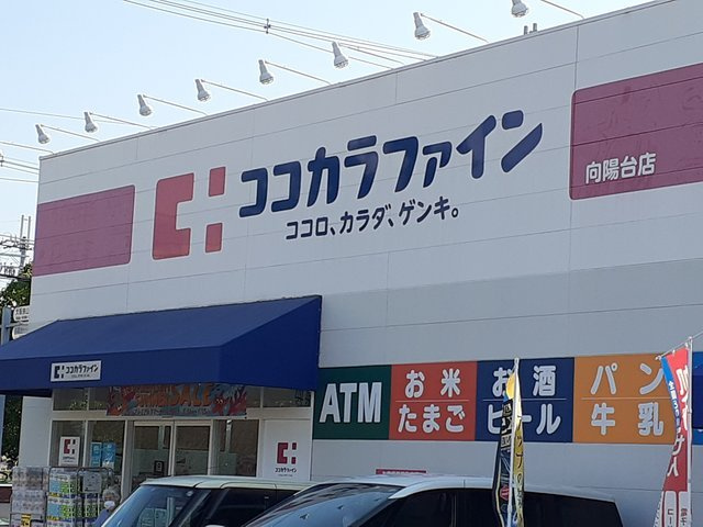 ＬＮ藤沢台の周辺|ココカラファイン向陽台店様まで1711m