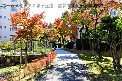 【エントランス】 | 向ヶ丘第2-77号棟